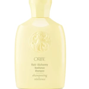 Hair Alchemy Resistance Shampoo