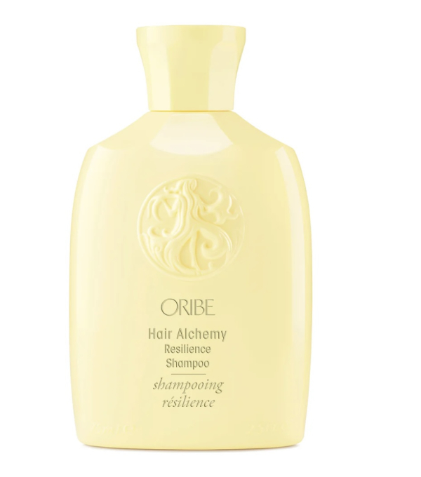 Hair Alchemy Resistance Shampoo